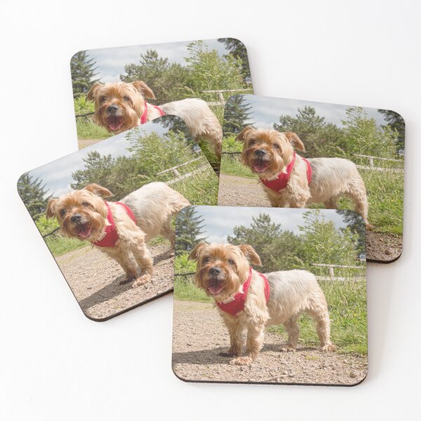 Item preview, Marley The Dog designed and sold by PhotoPhoto.