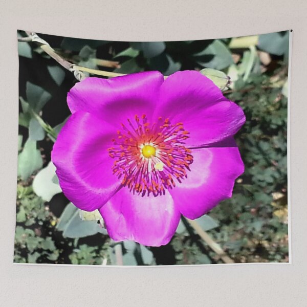 Item preview, Unexpected designed and sold by oneeyephoto.