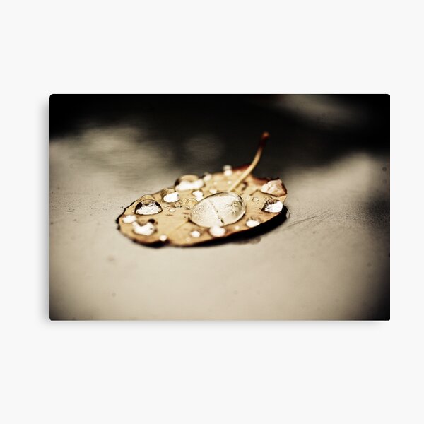 Quicksilver Canvas Print
