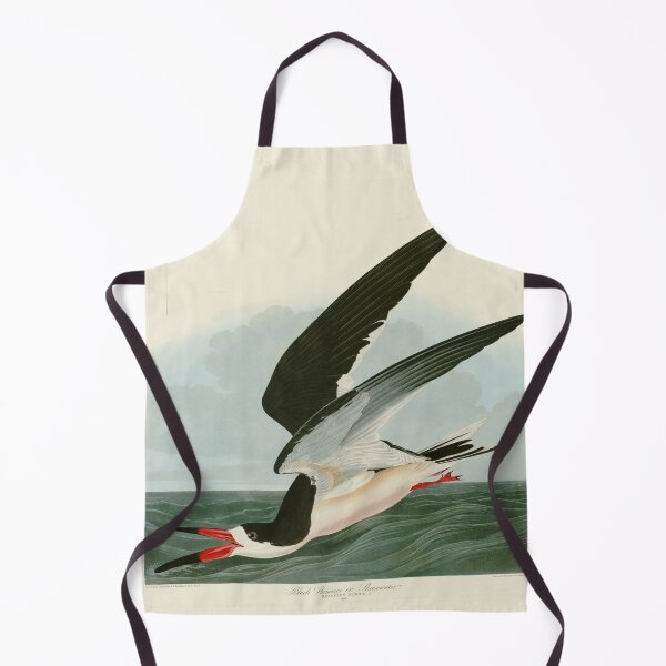 Item preview, Black Skimmer or Shearwater by John James Audubon designed and sold by Natural History Prints.