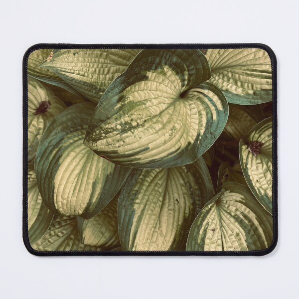 Item preview, Hosta designed and sold by JamilaAminahArt.