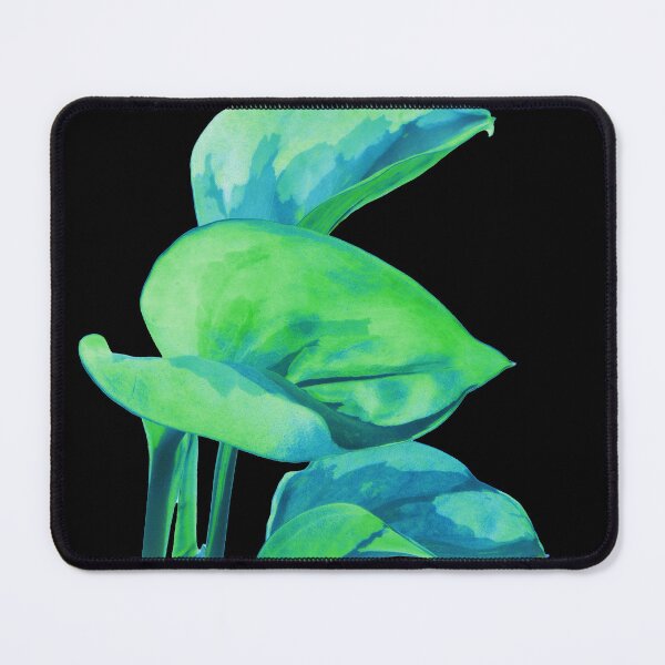Item preview, Epipremnum Aureum Manjula (Money Plant) Navy Blue & Green designed and sold by plantsbutbetter.