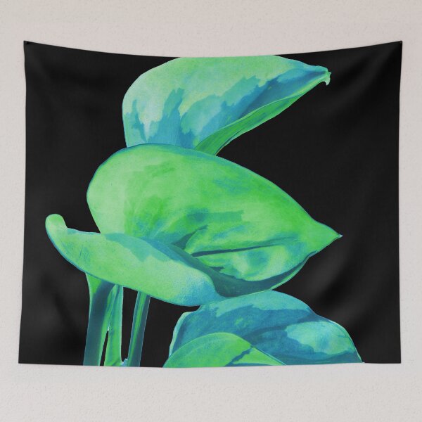 Item preview, Epipremnum Aureum Manjula (Money Plant) Navy Blue & Green designed and sold by plantsbutbetter.