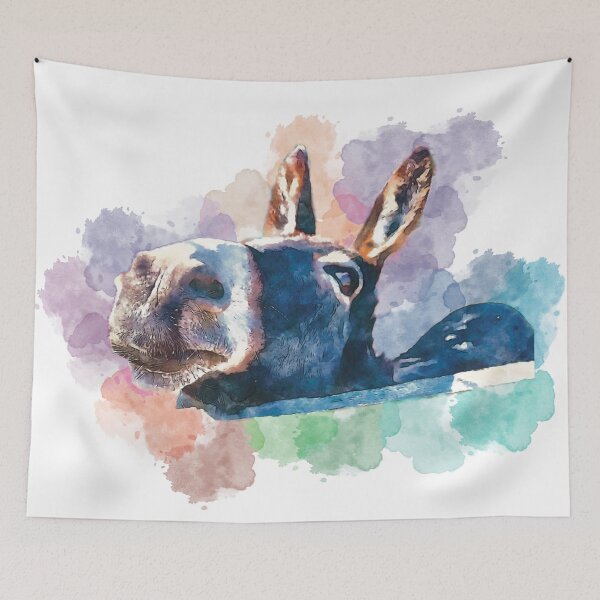Item preview, Rainbow Donkey designed and sold by Sue’s Creative Nook.