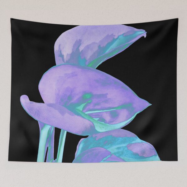 Item preview, Epipremnum Aureum Manjula (Money Plant) Turqoise & Lilac designed and sold by plantsbutbetter.