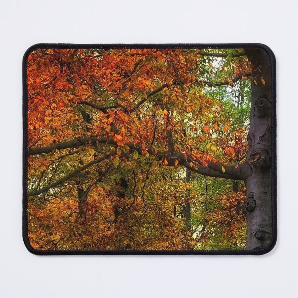 Item preview, Autumn ~ Bold Fall Colors Filling the Sky designed and sold by SXW Designs.