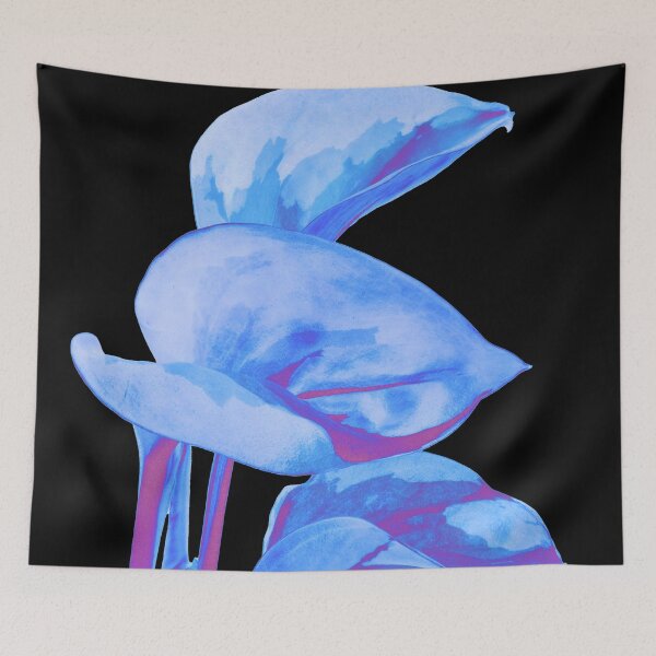 Item preview, Epipremnum Aureum Manjula (Money Plant) Blue & Magenta designed and sold by plantsbutbetter.