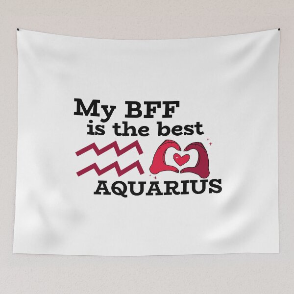 Item preview, My BFF is the best AQUARIUS designed and sold by josephsteez.