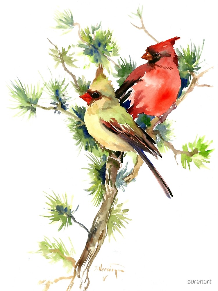 male and female cardinal birds