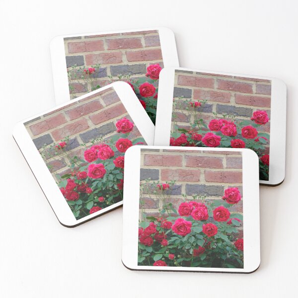 Item preview, Brick Wall Roses , Colorful flower    designed and sold by Janekimberly.