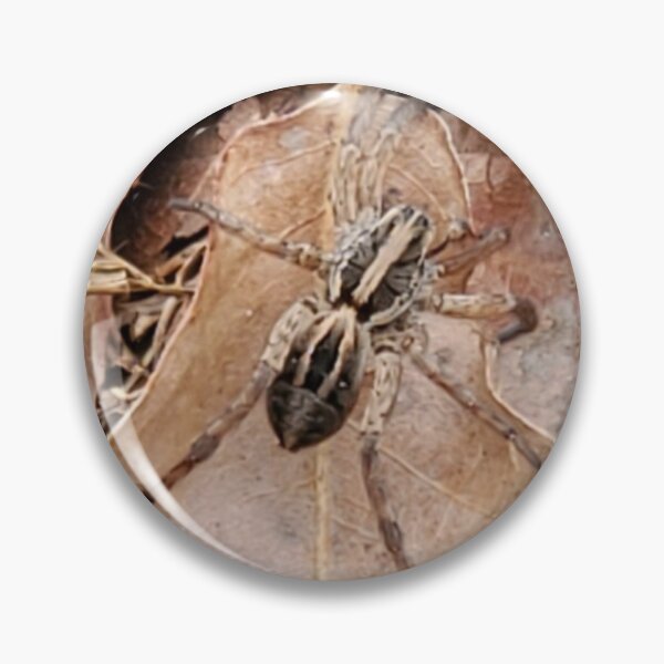 Item preview, Wolf Spider in the Leaves designed and sold by SarahVGarrett.