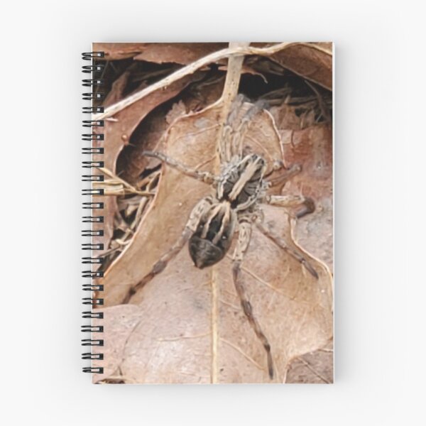 Item preview, Wolf Spider in the Leaves designed and sold by SarahVGarrett.