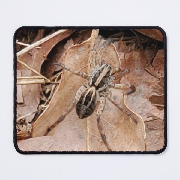 Item preview, Wolf Spider in the Leaves designed and sold by SarahVGarrett.