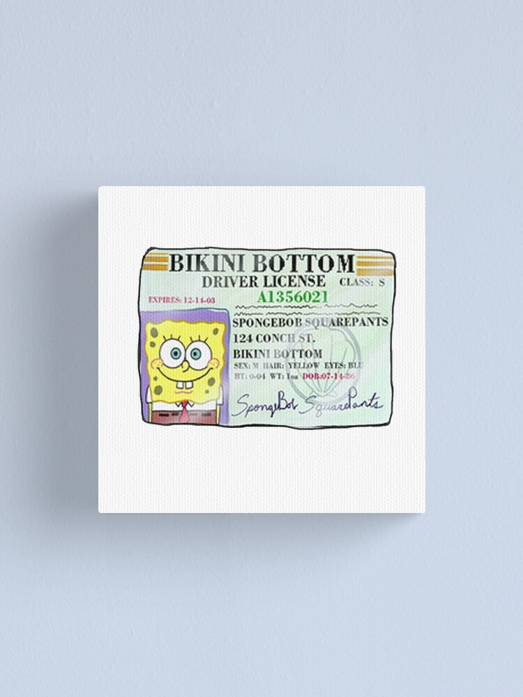 Spongebob Squarepants Driver S License Canvas Print By Akachayy
