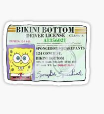 Spongebob Squarepants Driver's License Sticker