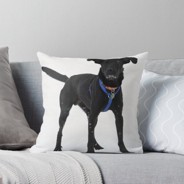 Item preview, Tucker designed and sold by NickChase.
