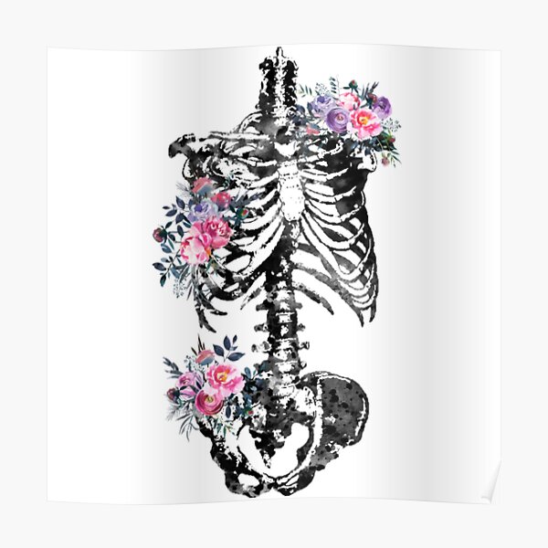 Torso Skeleton Torso Poster For Sale By Wallpaperopo Redbubble