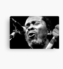 Callier Canvas Print