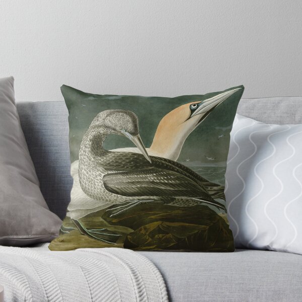 Item preview, Gannet - John James Audubon Birds of America designed and sold by Natural History Prints.