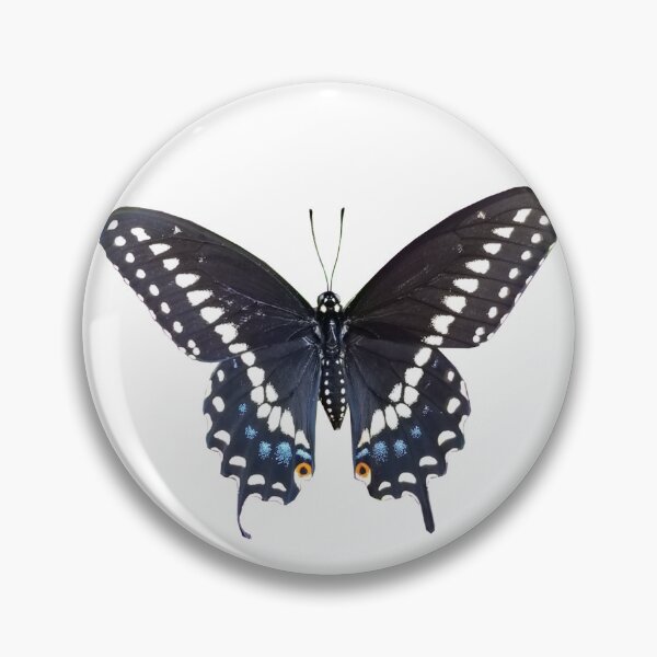 Item preview, Swallowtail butterfly photo designed and sold by Lori Clough.