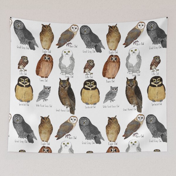 Item preview, Types of Owl designed and sold by katherineblower.