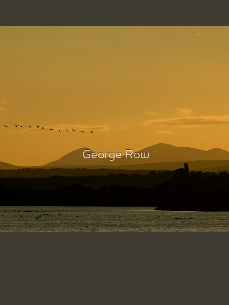 Geese over Derryveagh mountains at Twilight by VeryIreland