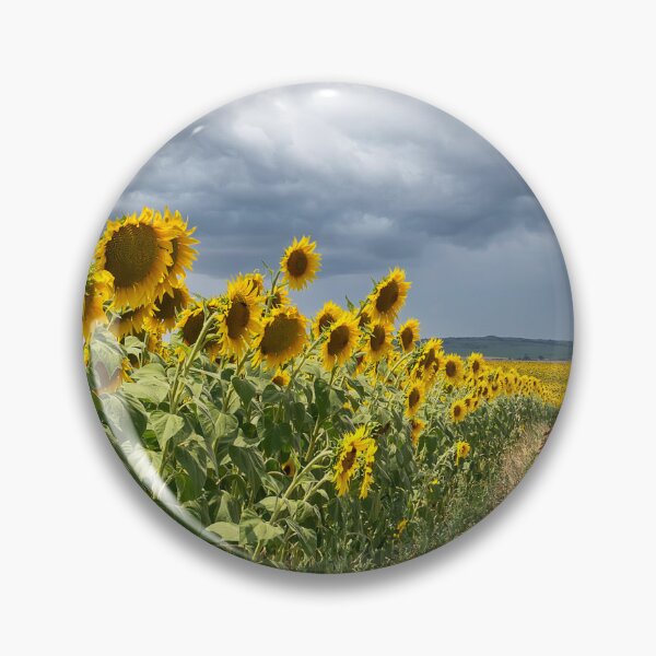 Item preview, Sunflower field designed and sold by yanzappa.