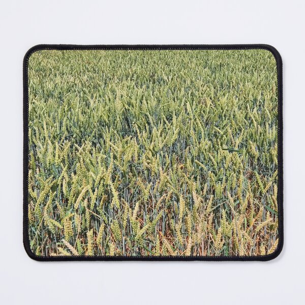 Item preview, green yellow corn field designed and sold by A-C-A-P.