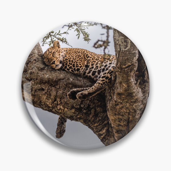 Item preview, Leopard in the tree in Kenya, Africa designed and sold by Anique van der Kuil.