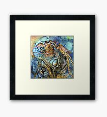 Iguana - Spirit Of Contentment Framed Print