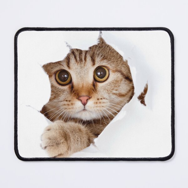 Item preview, Cat Breaking out Adorable Kitten Purrfect Paws designed and sold by SGNorton.