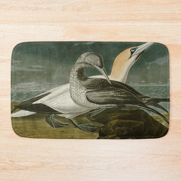 Item preview, Gannet - John James Audubon Birds of America designed and sold by Natural History Prints.