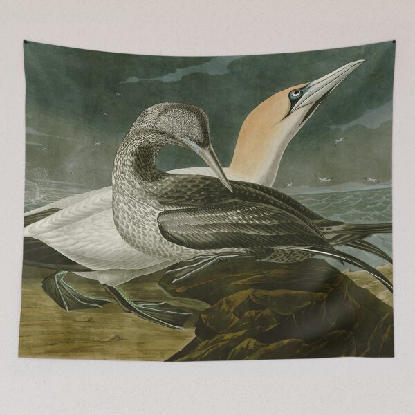 Item preview, Gannet - John James Audubon Birds of America designed and sold by Natural History Prints.