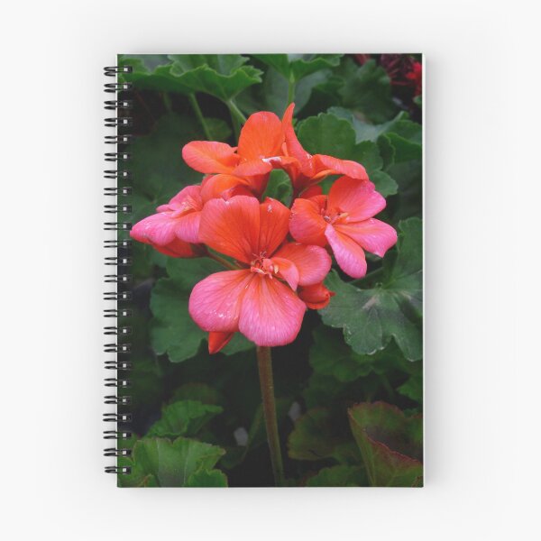 Item preview, Geranium designed and sold by WildestArt.