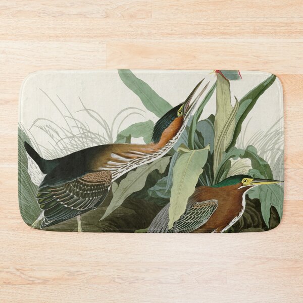 Item preview, Green Heron - John James Audubon Birds of America designed and sold by Natural History Prints.