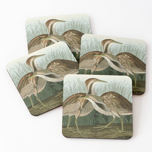 Item preview, American Bittern - John James Audubon Birds of America designed and sold by Natural History Prints.