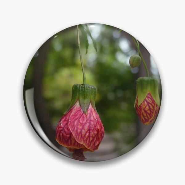 Item preview, Hanging Flower Lanterns designed and sold by Sally White.