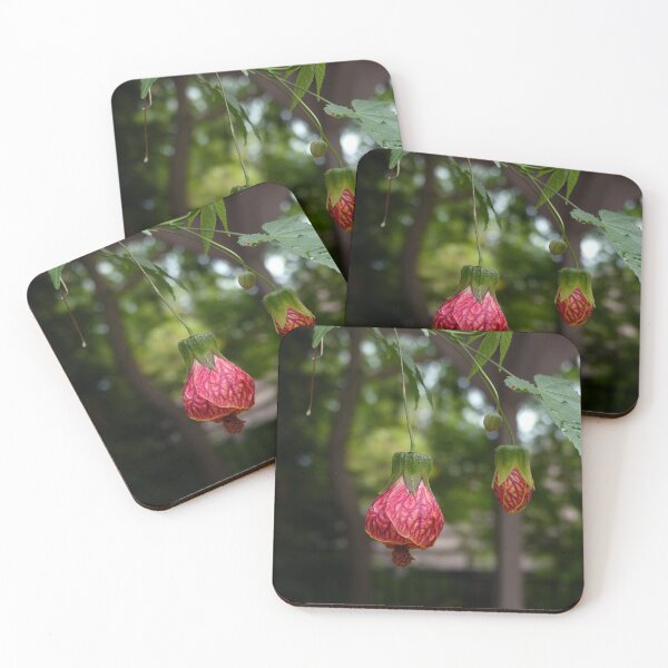 Item preview, Hanging Flower Lanterns designed and sold by Sally White.