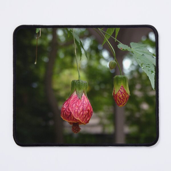 Item preview, Hanging Flower Lanterns designed and sold by Sally White.