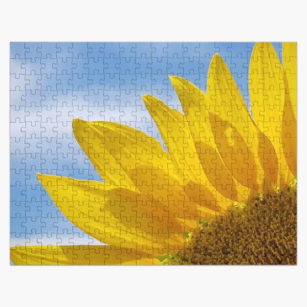 Artikel-Vorschau von Sonnenblume im dramatischen Kunst-Foto des blauen Himmels, designt und verkauft von DEC02.