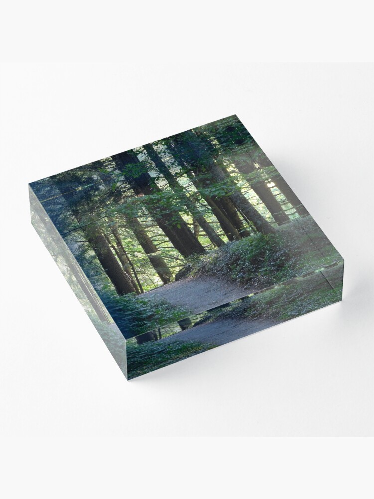 Alternate view of Enfield Glen Path Acrylic Block