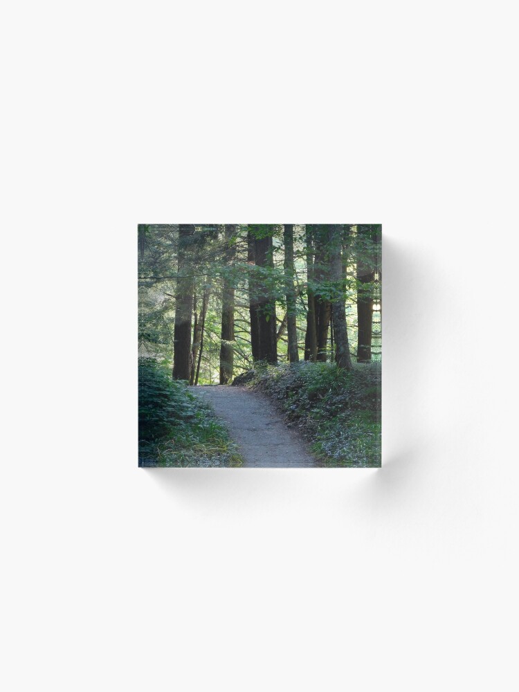 Alternate view of Enfield Glen Path Acrylic Block