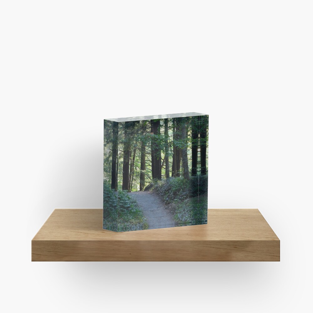 Enfield Glen Path Acrylic Block