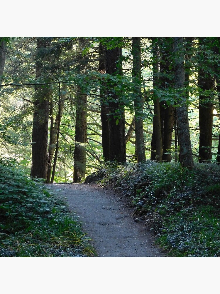 Enfield Glen Path by markreep