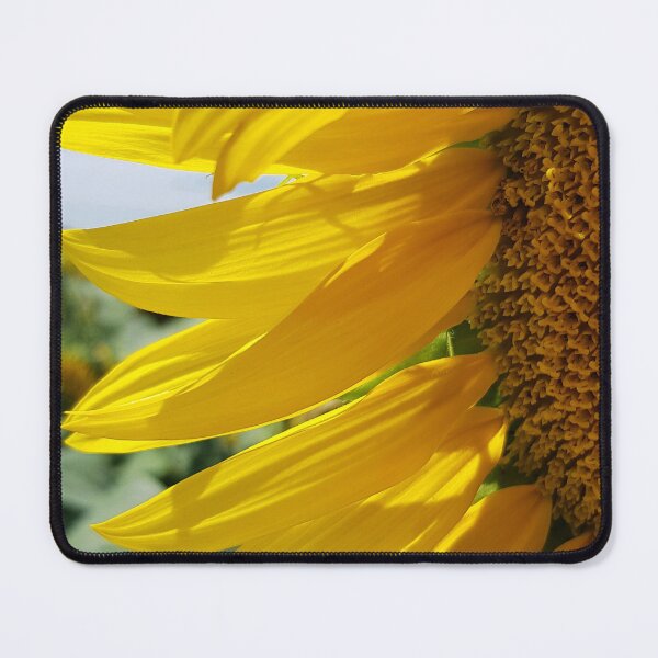 Item preview, Glorious Yellow Sunflower Majestic Art Photo designed and sold by DEC02.