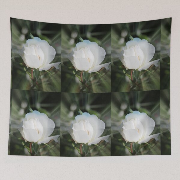 Item preview, pretty  white rose flower photography. designed and sold by naturematters.