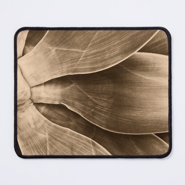 Item preview, Agave Side View in dark Sepia designed and sold by Alchymie.