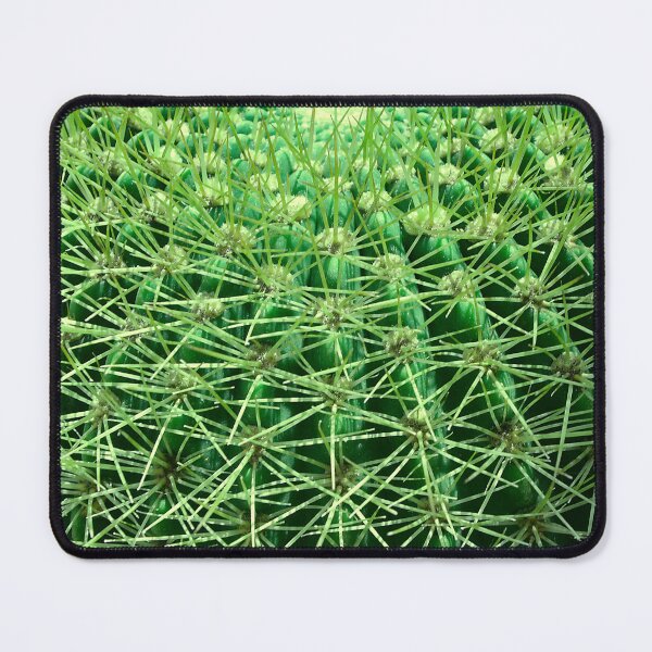 Item preview, Breathtaking Barrel Cactus Exotic Close-Up designed and sold by DEC02.