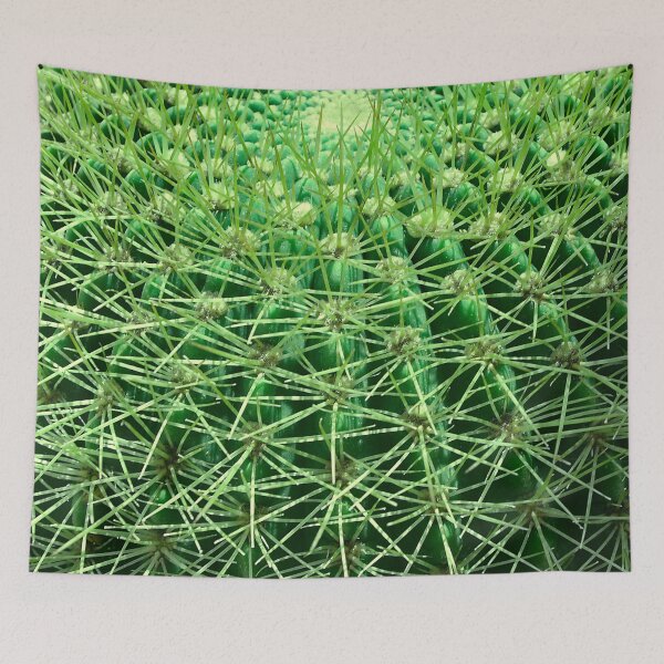 Item preview, Breathtaking Barrel Cactus Exotic Close-Up designed and sold by DEC02.