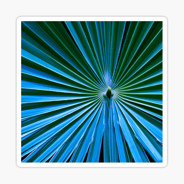 Item preview, Exotic Palm Frond Under Fantasy Blue Moonlight  designed and sold by DEC02.